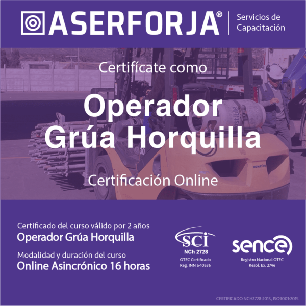 Operador Grúa Horquilla