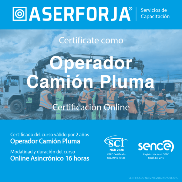 Operador Camión Pluma