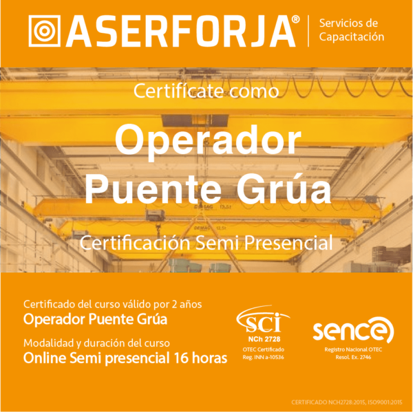 Operador Puente Grúa