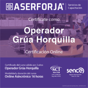 Operador de Grúa Horquilla